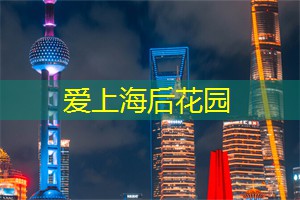 上海新茶工作室联系方式：上海论坛开幕在即：瞩目城市发展，探讨解决之道！