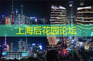 爱上海同城论坛：放空自己，寻觅上海后花园的奇妙旅程！