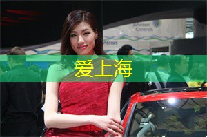 爱上海：在上海拍摄的现代都市剧